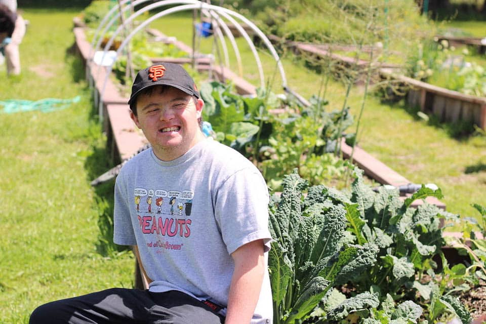 Farm General I