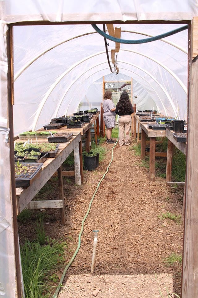 Farm General II New Retail Nursery