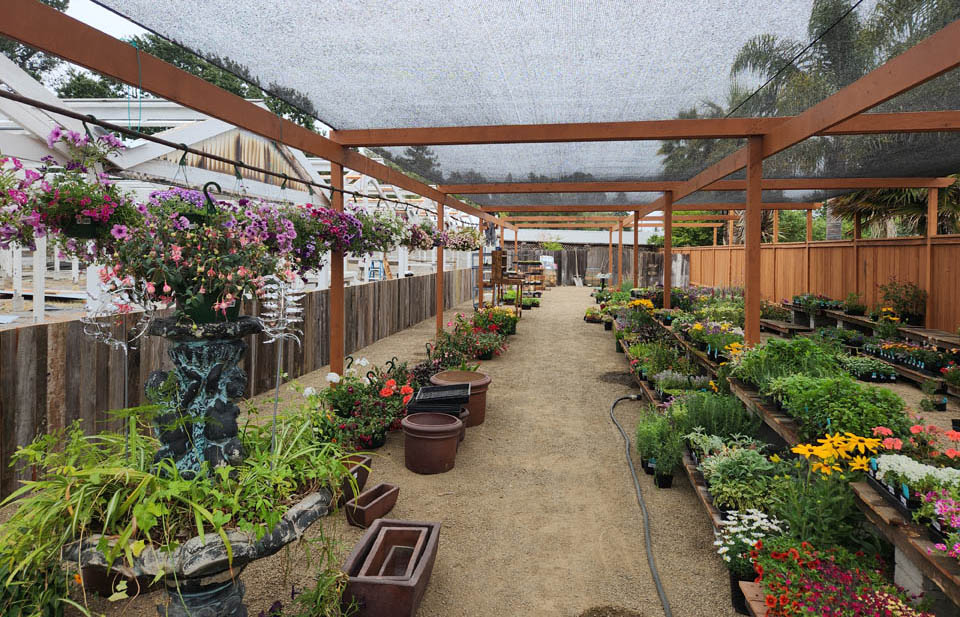 Living Together Nursery